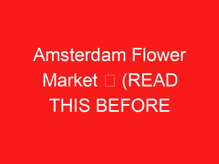 Amsterdam Flower Market ➥ (ご来場前にお読みください)