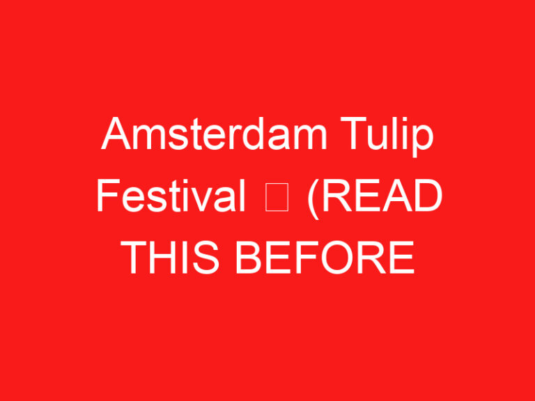 Amsterdam Tulip Festival ➥ (PRZECZYTAJ TO PRZED WIZYTĄ)