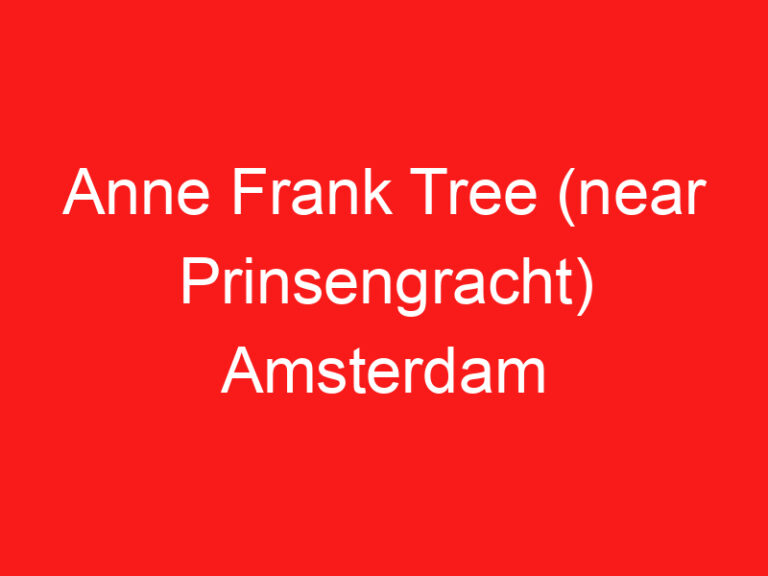 Anne Frank Tree (near Prinsengracht) Amsterdam (READ THIS BEFORE YOU VISIT!)