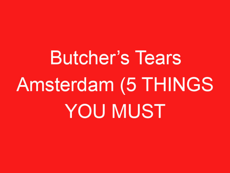 Butcher’s Tears Amsterdam (5 THINGS YOU MUST KNOW About This Brewery