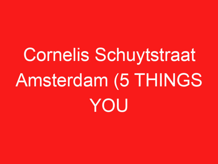 Cornelis Schuytstraat Amsterdam (5 THINGS YOU MUST KNOW About This Luxury shopping street