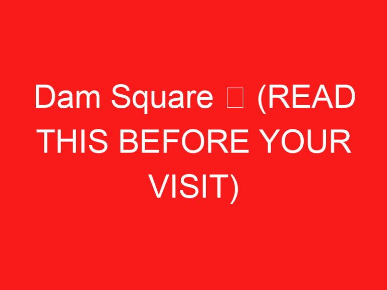 Dam Square ➥ (ご来場前にお読みください)