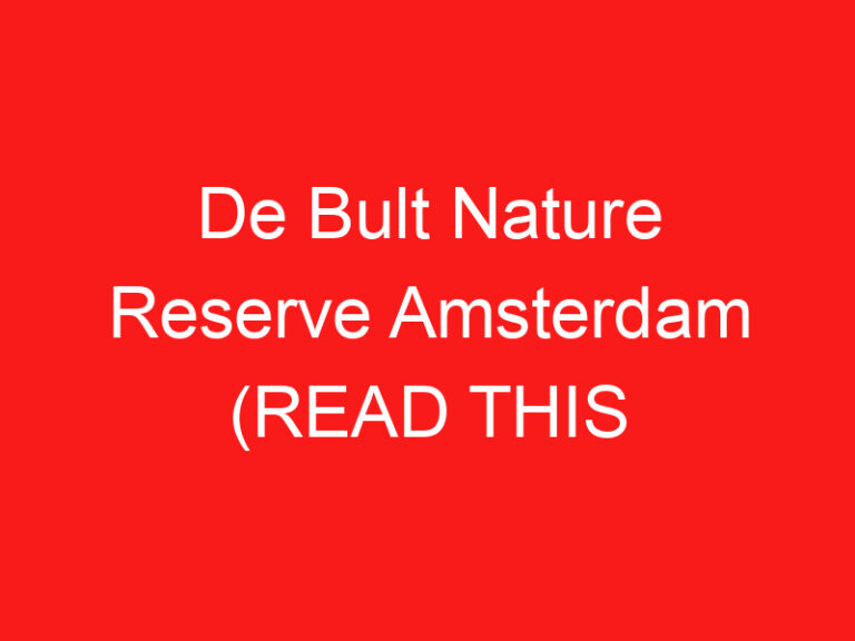 De Bult Nature Reserve Amsterdam (LESEN SIE DIES VOR IHREM BESUCH!)
