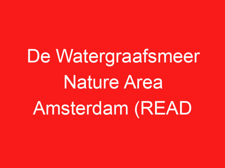 De Watergraafsmeer Nature Area Amsterdam (READ THIS BEFORE YOU VISIT!)