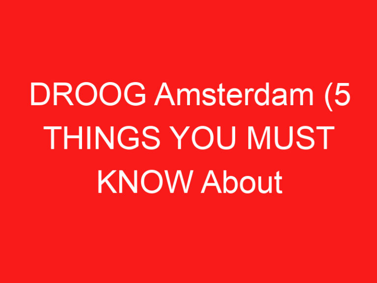 DROOG Amsterdam (5 THINGS YOU MUST KNOW About This Design shop