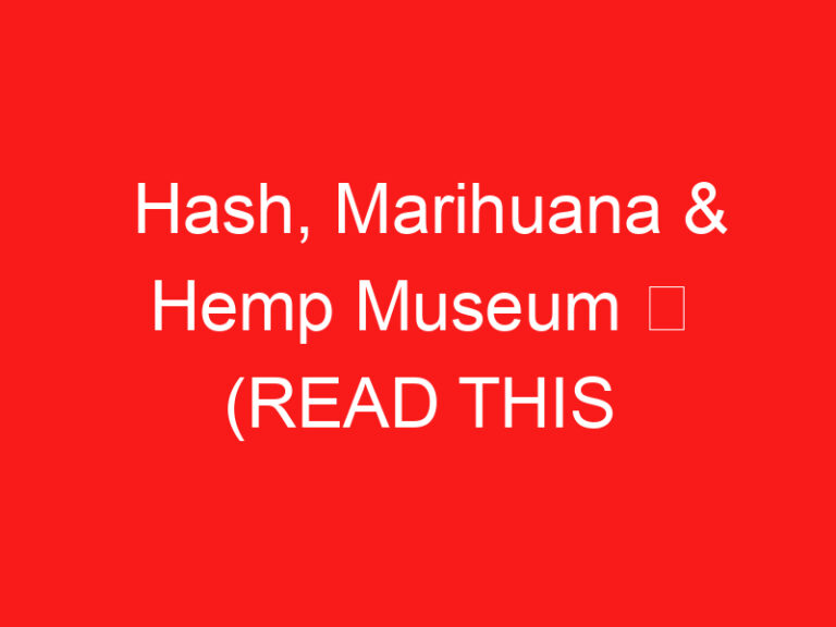Hash, Marihuana & Hemp Museum ➥ (LEIA ISTO ANTES DE SUA VISITA)