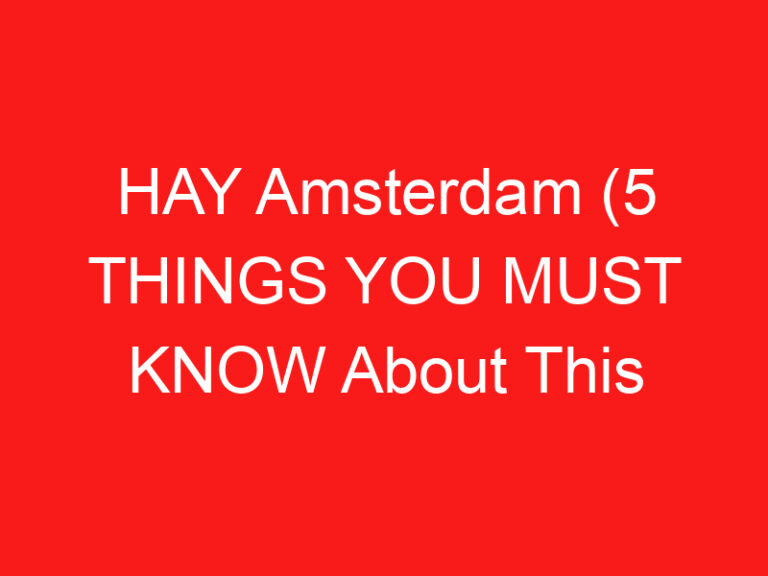 HAY Amsterdam (5 THINGS YOU MUST KNOW About This Furniture and design shop