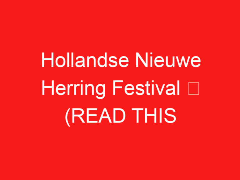 Hollandse Nieuwe Herring Festival ➥ (LEA ESTO ANTES DE SU VISITA)