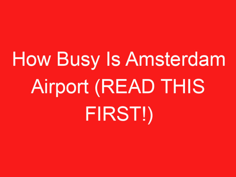 How Busy Is Amsterdam Airport (READ THIS FIRST!)