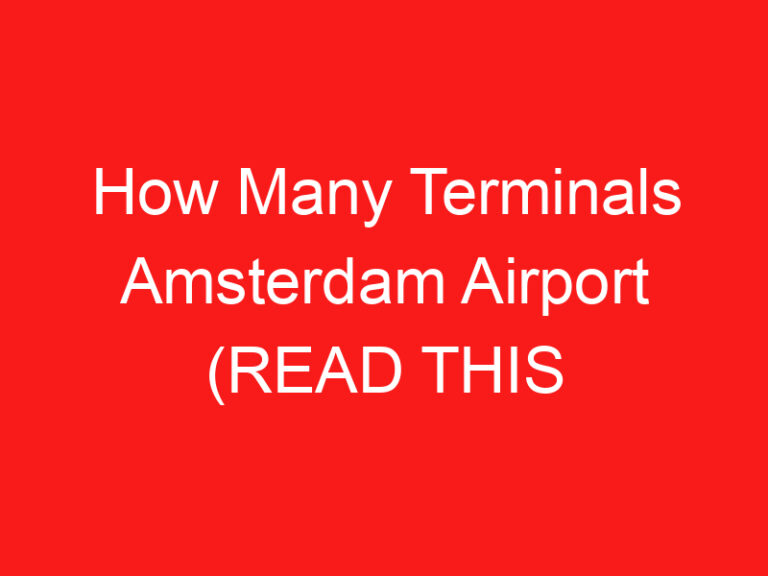How Many Terminals Amsterdam Airport (READ THIS FIRST!)
