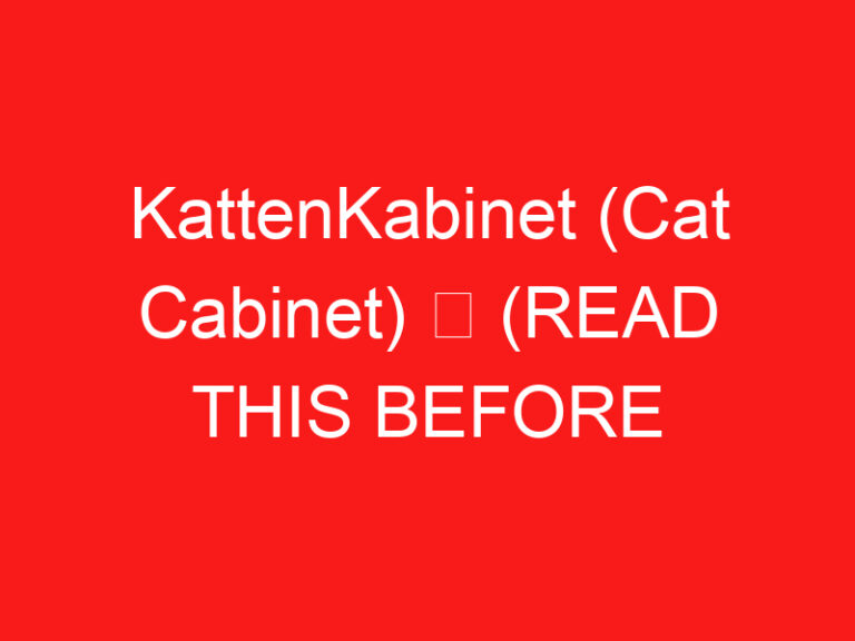 KattenKabinet (Cat Cabinet) ➥ (LEIA ISTO ANTES DE SUA VISITA)