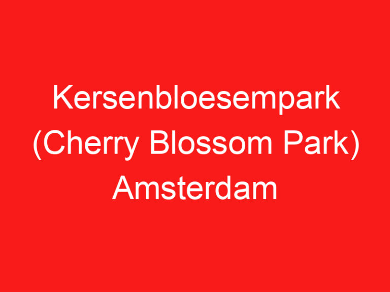 Kersenbloesempark (Cherry Blossom Park) 阿姆斯特丹 (READ THIS BEFORE YOU VISIT!)