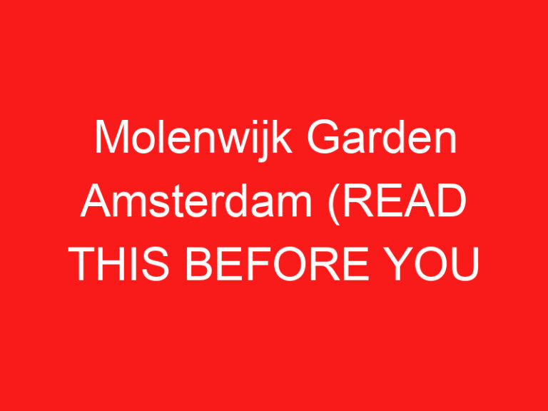 Molenwijk Garden Amsterdam (LEES DIT VOORDAT JE LANGSKOMT!)