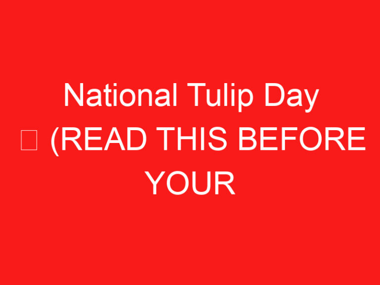 National Tulip Day ➥ (PRZECZYTAJ TO PRZED WIZYTĄ)