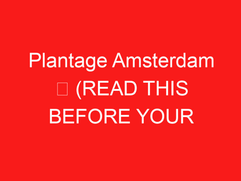 Plantage Amsterdam ➥ (ご来場前にお読みください)