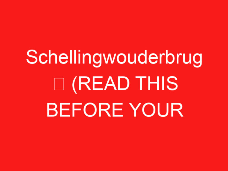 Schellingwouderbrug ➥ (READ THIS BEFORE YOUR VISIT)