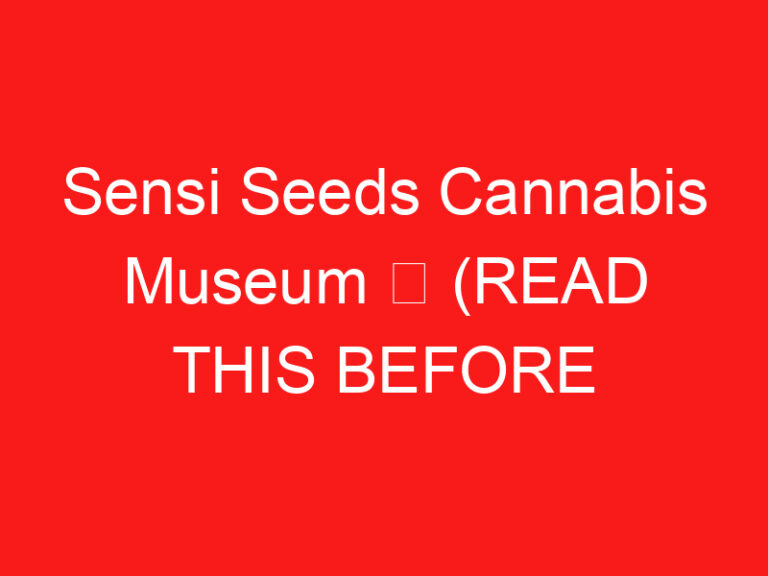 Sensi Seeds Cannabis Museum ➥ (ZİYARETİNİZDEN ÖNCE BUNU OKUYUN)