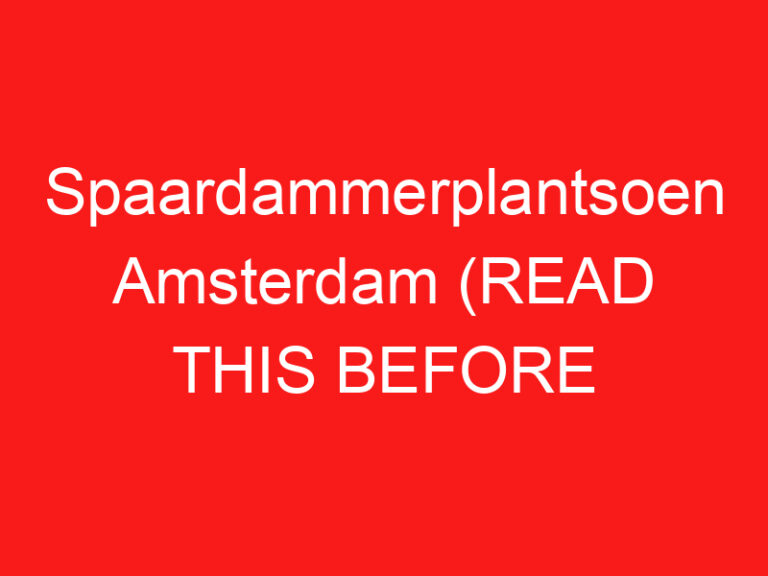 Spaardammerplantsoen Amsterdam (LESEN SIE DIES VOR IHREM BESUCH!)
