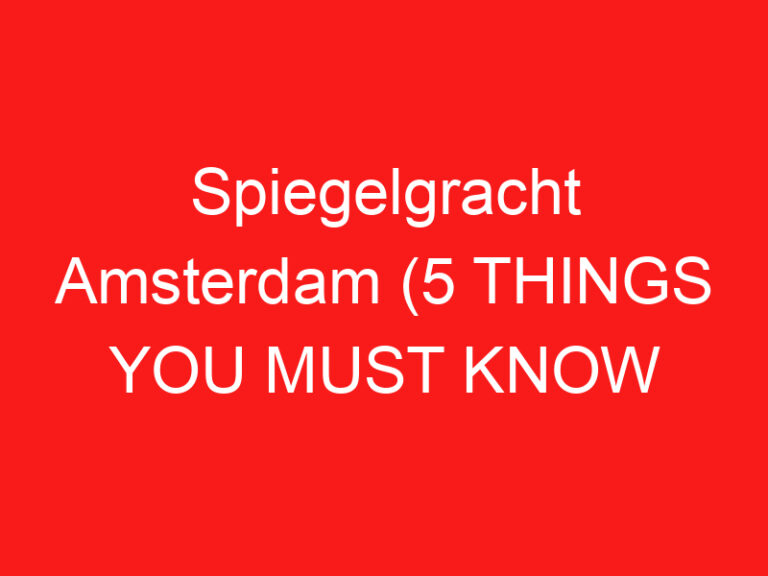 Spiegelgracht Amsterdam (5 THINGS YOU MUST KNOW About This Art gallery street