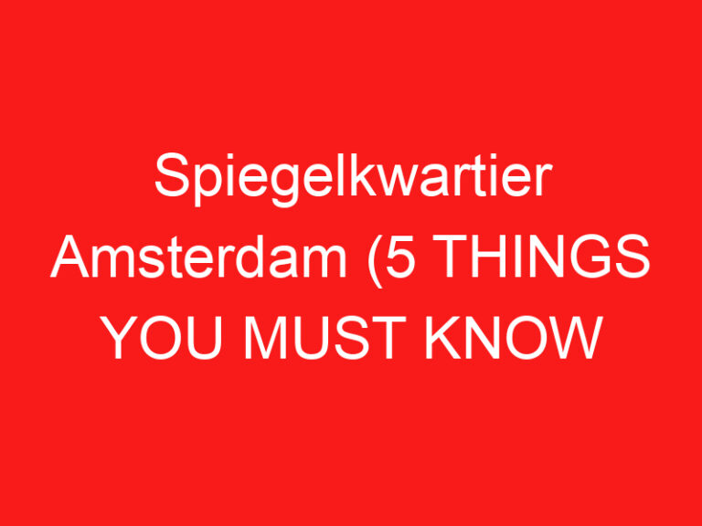 Spiegelkwartier Amsterdam (5 THINGS YOU MUST KNOW About This Antique and art district