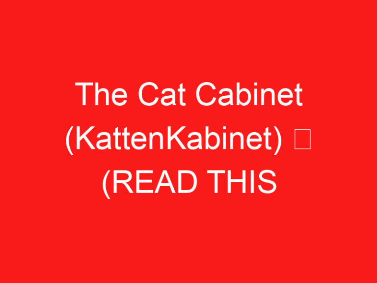 The Cat Cabinet (KattenKabinet) ➥ (อ่านสิ่งนี้ก่อนเยี่ยมชม)