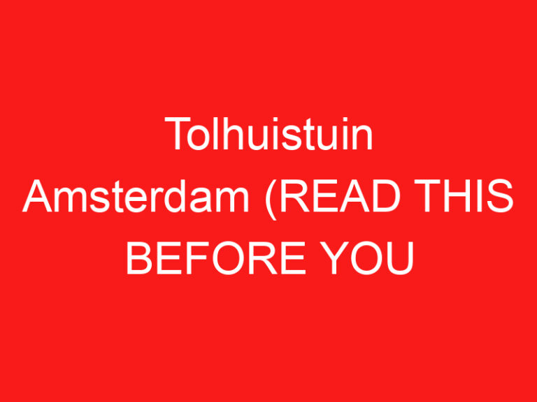 Tolhuistuin Amsterdam (LESEN SIE DIES VOR IHREM BESUCH!)