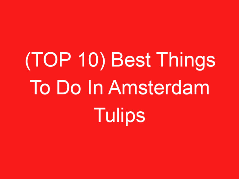 (TOP 10) Best Things To Do In Amsterdam Tulips (2024 – 2025)