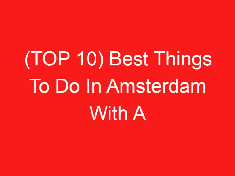 (TOP 10) Best Things To Do In Amsterdam With A Dog (2024 – 2025)
