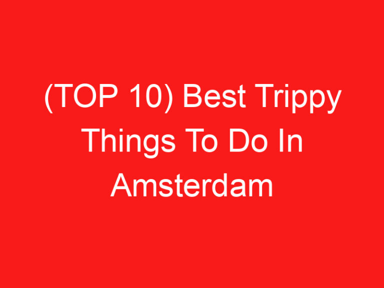 (TOP 10) Best Trippy Things To Do In Amsterdam (2024 – 2025)