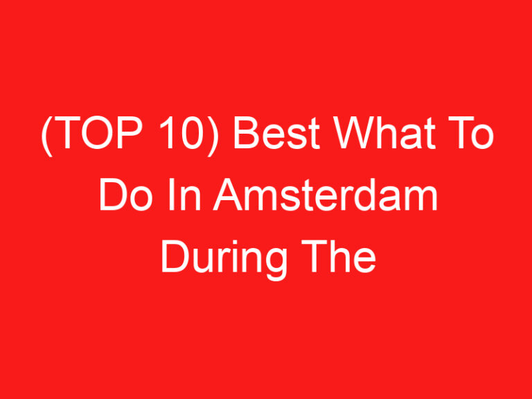 (ARRIBA 10) Best What To Do In Amsterdam During The Day (2024 – 2025)