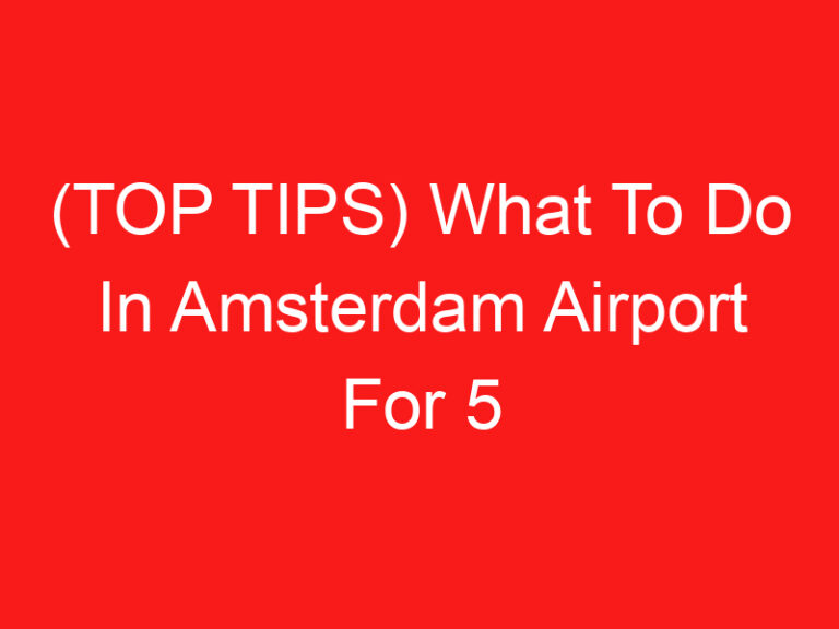 (TOP TIPS) What To Do In Amsterdam Airport For 5 Hours (2024 – 2025)