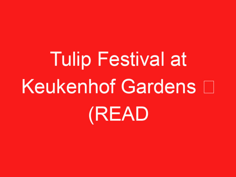 Tulip Festival at Keukenhof Gardens ➥ (اقرأ هذا قبل زيارتك)