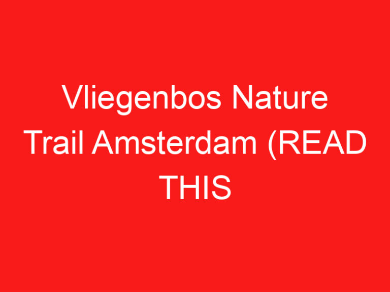 Vliegenbos Nature Trail Amsterdam (READ THIS BEFORE YOU VISIT!)