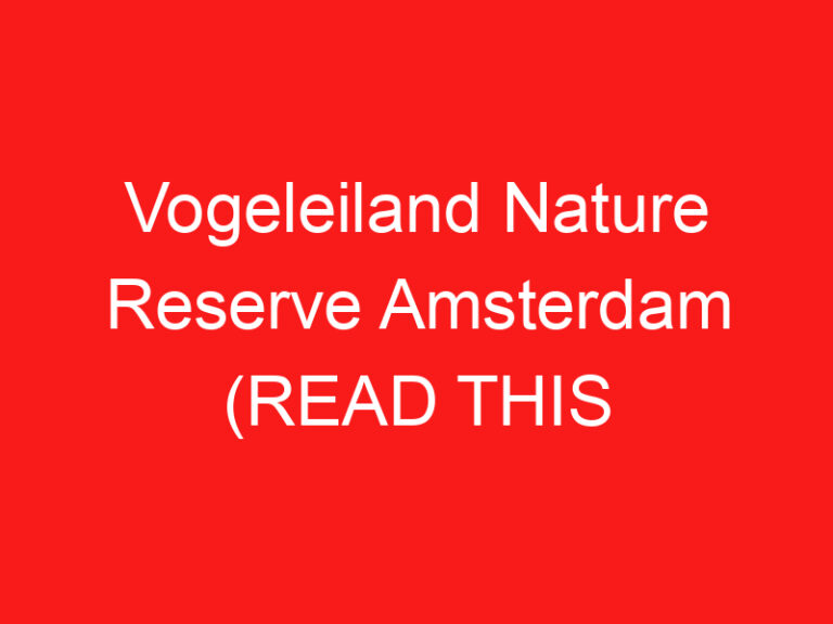 Vogeleiland Nature Reserve Amsterdam (यात्रा करने से पहले इसे पढ़ें!)