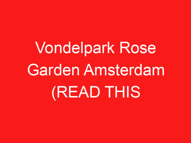 Vondelpark Rose Garden Amsterdam (LEES DIT VOORDAT JE LANGSKOMT!)