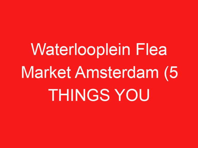 Waterlooplein Flea Market Amsterdam (5 THINGS YOU MUST KNOW About This Flea market