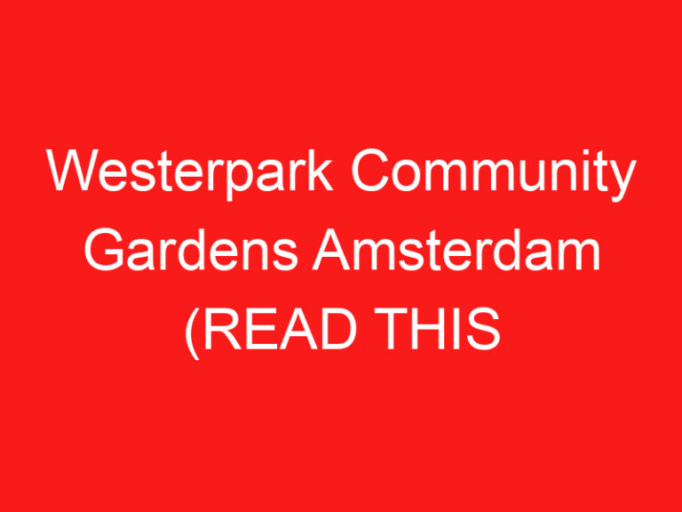 Westerpark Community Gardens Amsterdam (LEES DIT VOORDAT JE LANGSKOMT!)