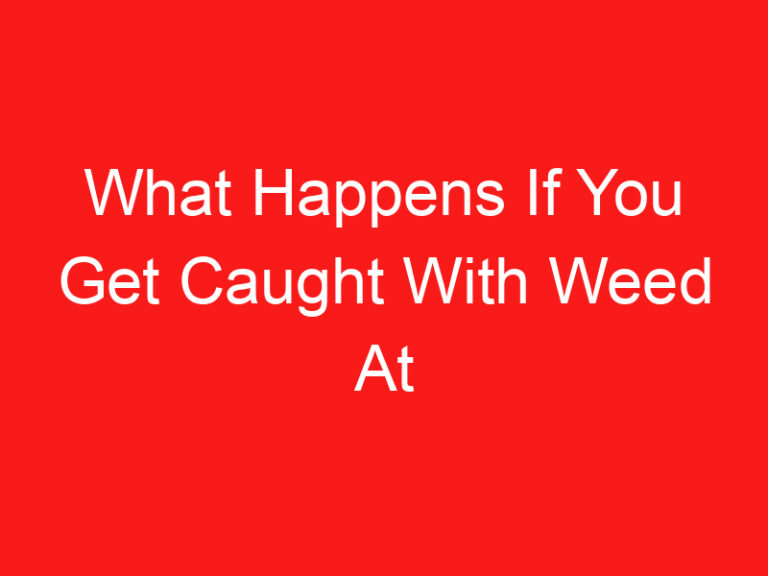 What Happens If You Get Caught With Weed At Amsterdam Airport (اقرأ هذا أولا!)