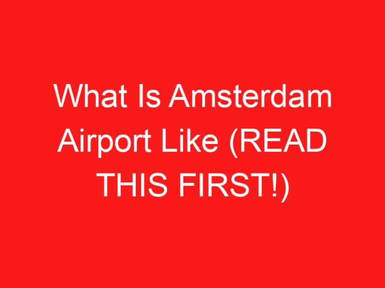 What Is Amsterdam Airport Like (READ THIS FIRST!)