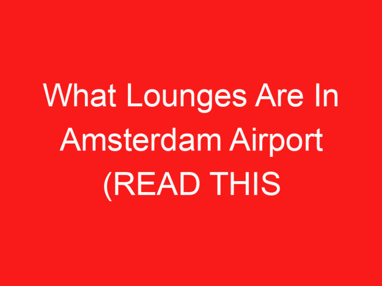 What Lounges Are In Amsterdam Airport (READ THIS FIRST!)