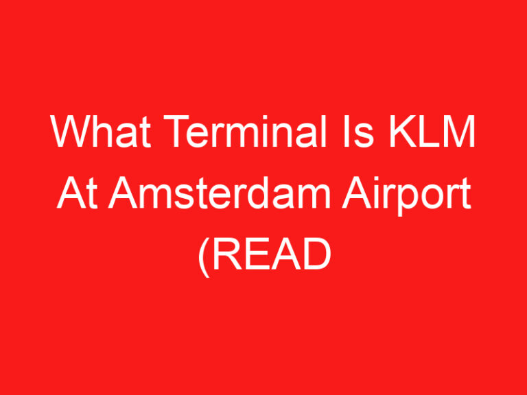 What Terminal Is KLM At Amsterdam Airport (READ THIS FIRST!)