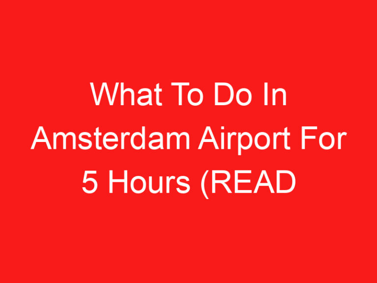 What To Do In Amsterdam Airport For 5 Hours (READ THIS FIRST!)