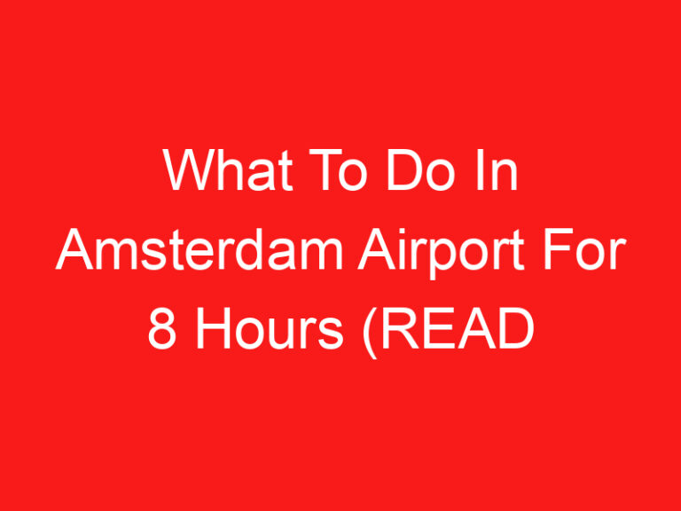 What To Do In Amsterdam Airport For 8 Hours (اقرأ هذا أولا!)