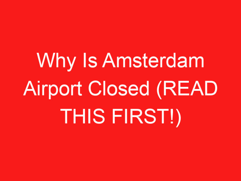 Why Is Amsterdam Airport Closed (READ THIS FIRST!)
