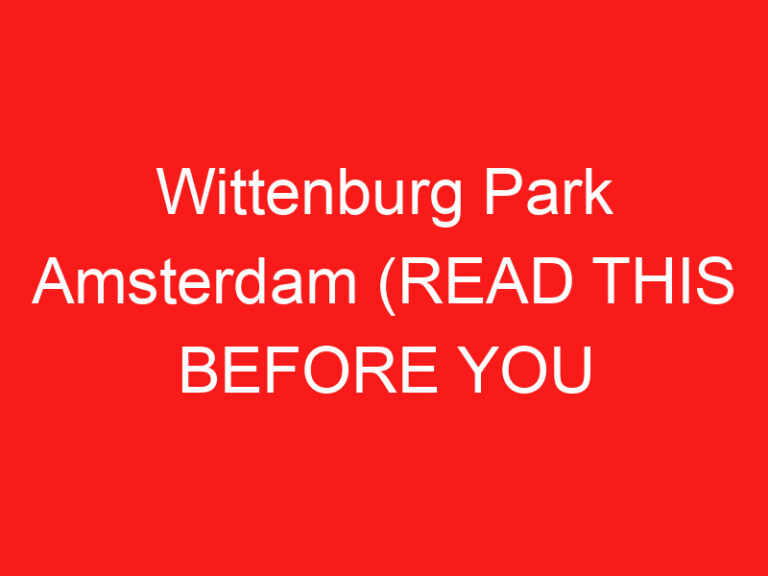 Wittenburg Park Amsterdam (READ THIS BEFORE YOU VISIT!)